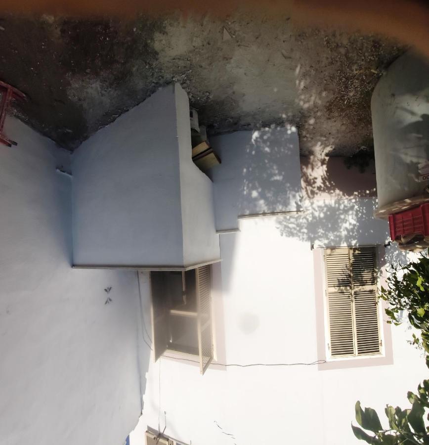 Whole Holiday Home Apartment Lovely Civitavecchia Da Pamino & Priscilla 外观 照片